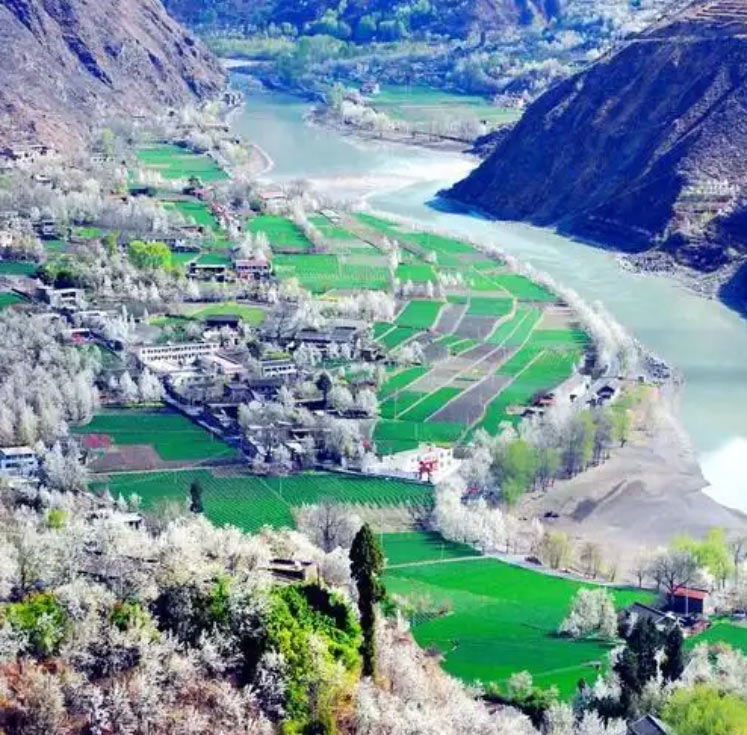 梨花勝景·文旅名片